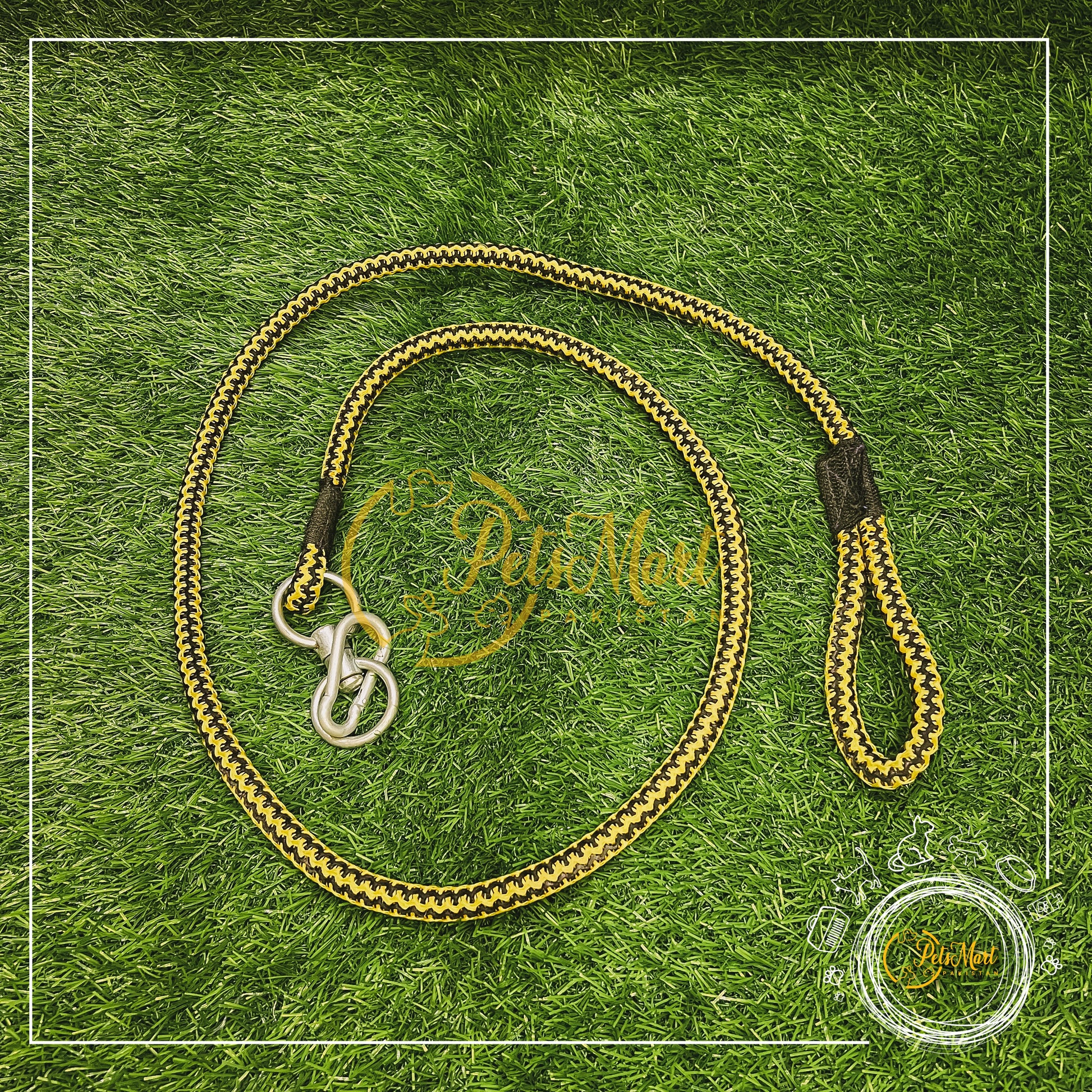 Dog Leash - Pets Mart Pakistan