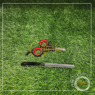 Nail Clipper With Filer Small - Pets Mart Pakistan