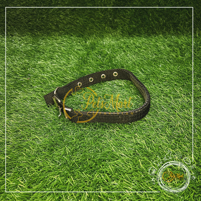 Soft Collar - Pets Mart Pakistan