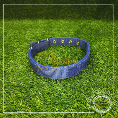 Soft Collar - Pets Mart Pakistan