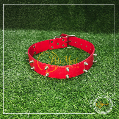 Spike Collar - Pets Mart Pakistan