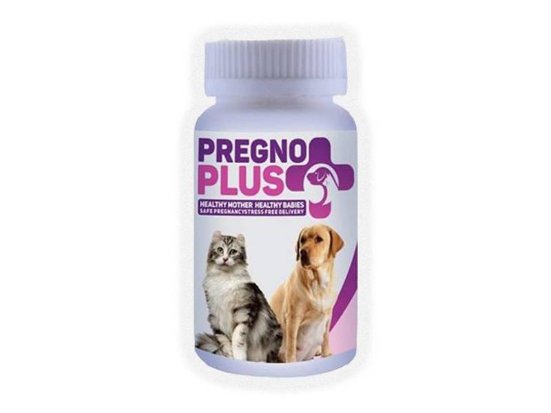 Mega Pregno Plus - Prenatal Support for pets