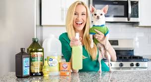 Power Free Natural Pet -Safe Cleaner