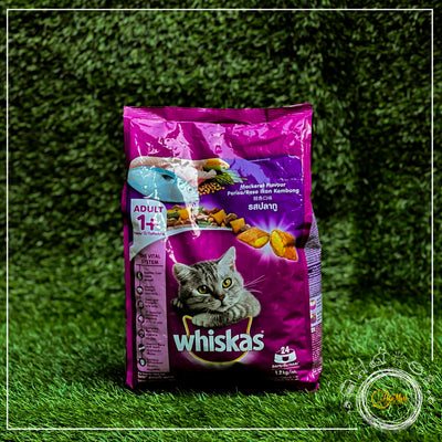 Whiskas Dry Adult Cat Food in Mackeral Flavor - Pets Mart Pakistan