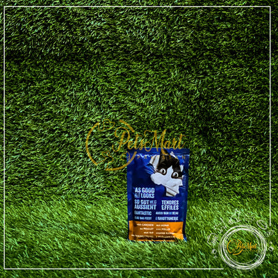 Felix Wet Food Cat/Kitten Pouches 100g - Irresistible Flavors for Feline Delights | Pets Mart Pakistan - Pets Mart Pakistan