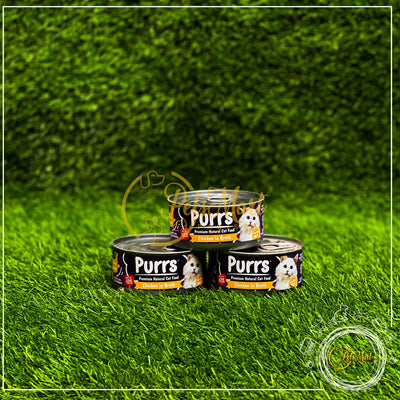 Purrs Cat/Kitten Wet Food Tin in Four Different Flavors - Pets Mart Pakistan