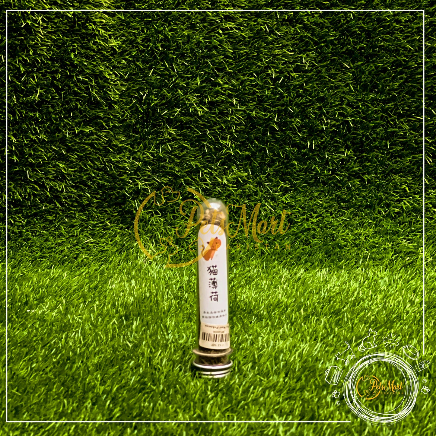 Buy Cat Nip in 30ml Tube Online in Pakistan - Pets Mart Pakistan - Pets Mart Pakistan