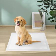 Padded Sheet - Absorbent Pet Mat