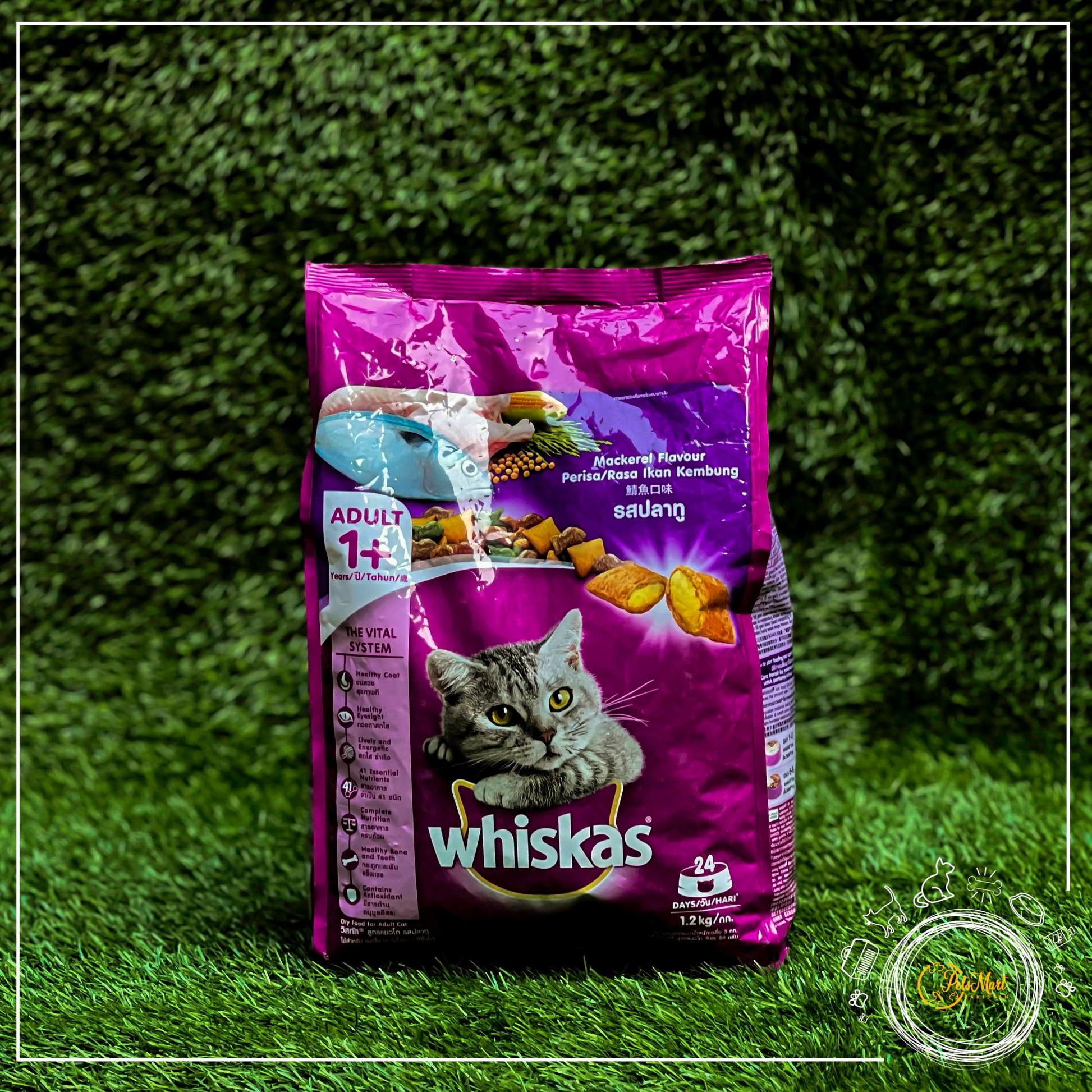 Whiskas Dry Adult Cat Food in Mackeral Flavor - Pets Mart Pakistan