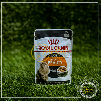 Royal Canin Intense Beauty Wet Food For Cats/Kitten Jelly in Pouch - Pets Mart Pakistan
