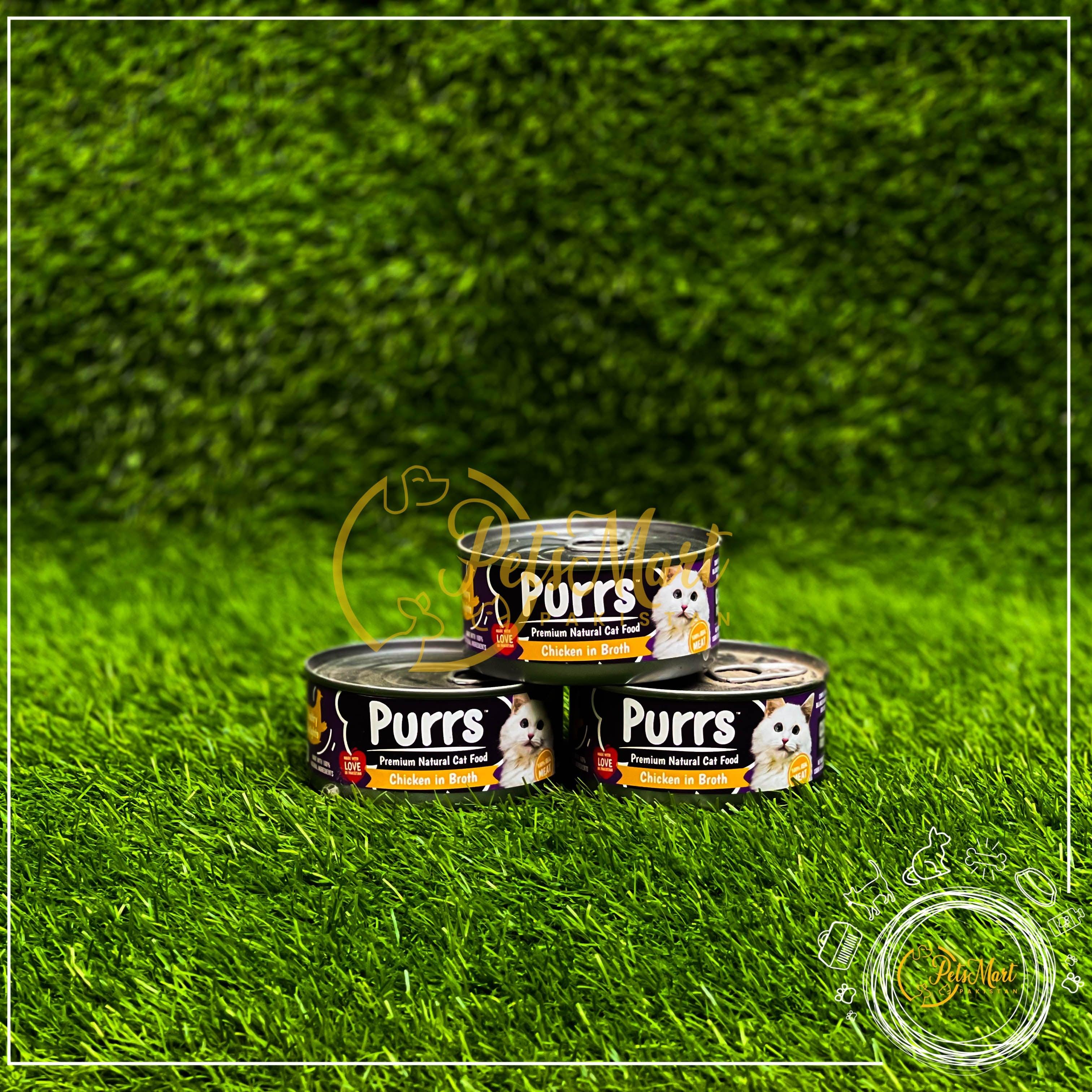 Discover The World Of Premium Cat Food discover-the-world-of-premium-cat-food