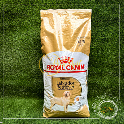 Royal Canin Labrador Adult Dog Food in 3kgs and 12Kgs - Pets Mart Pakistan